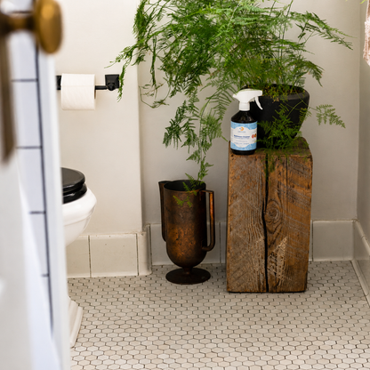 Bathroom Cleaner